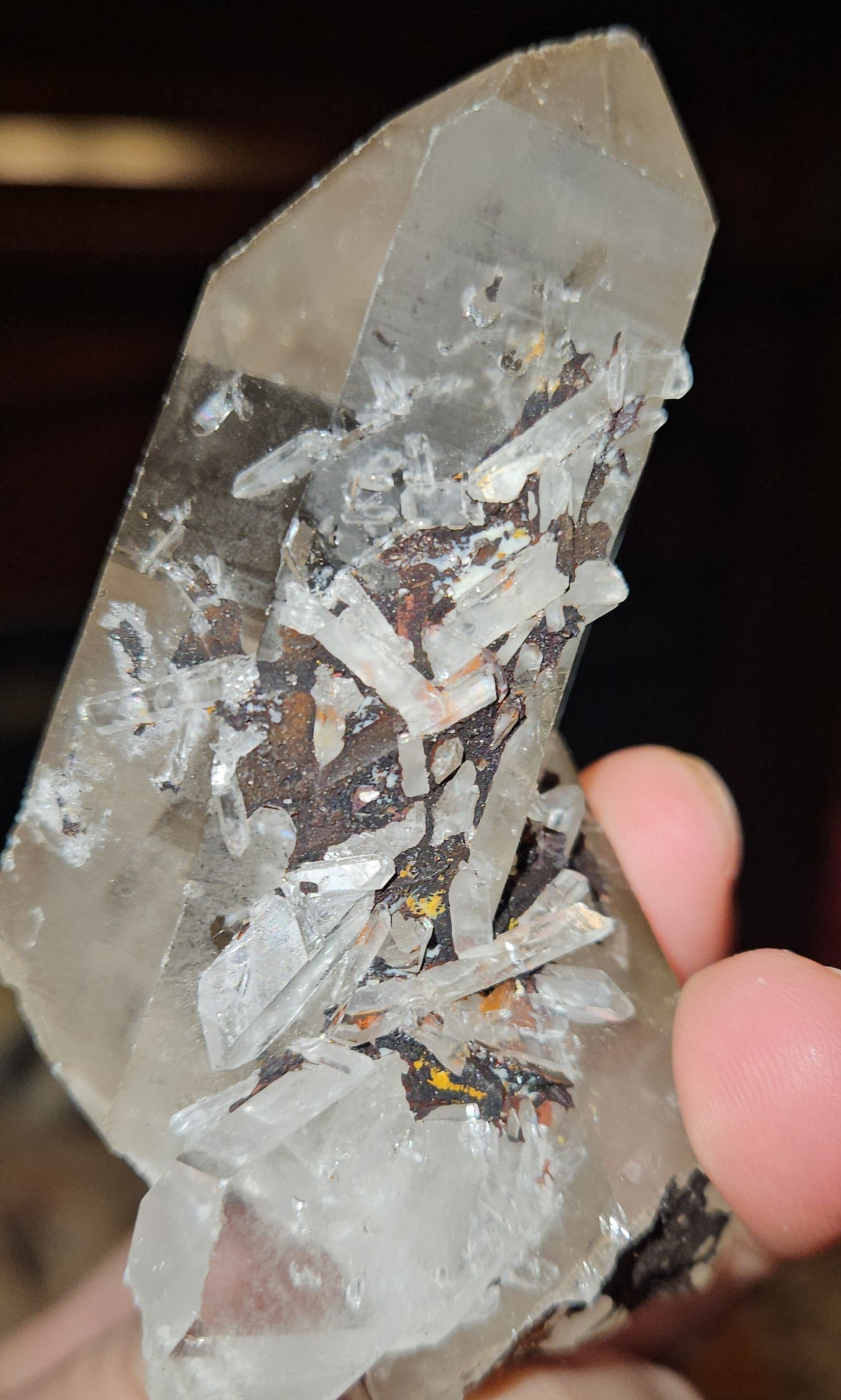 AAA Quality Lemurian Cluster