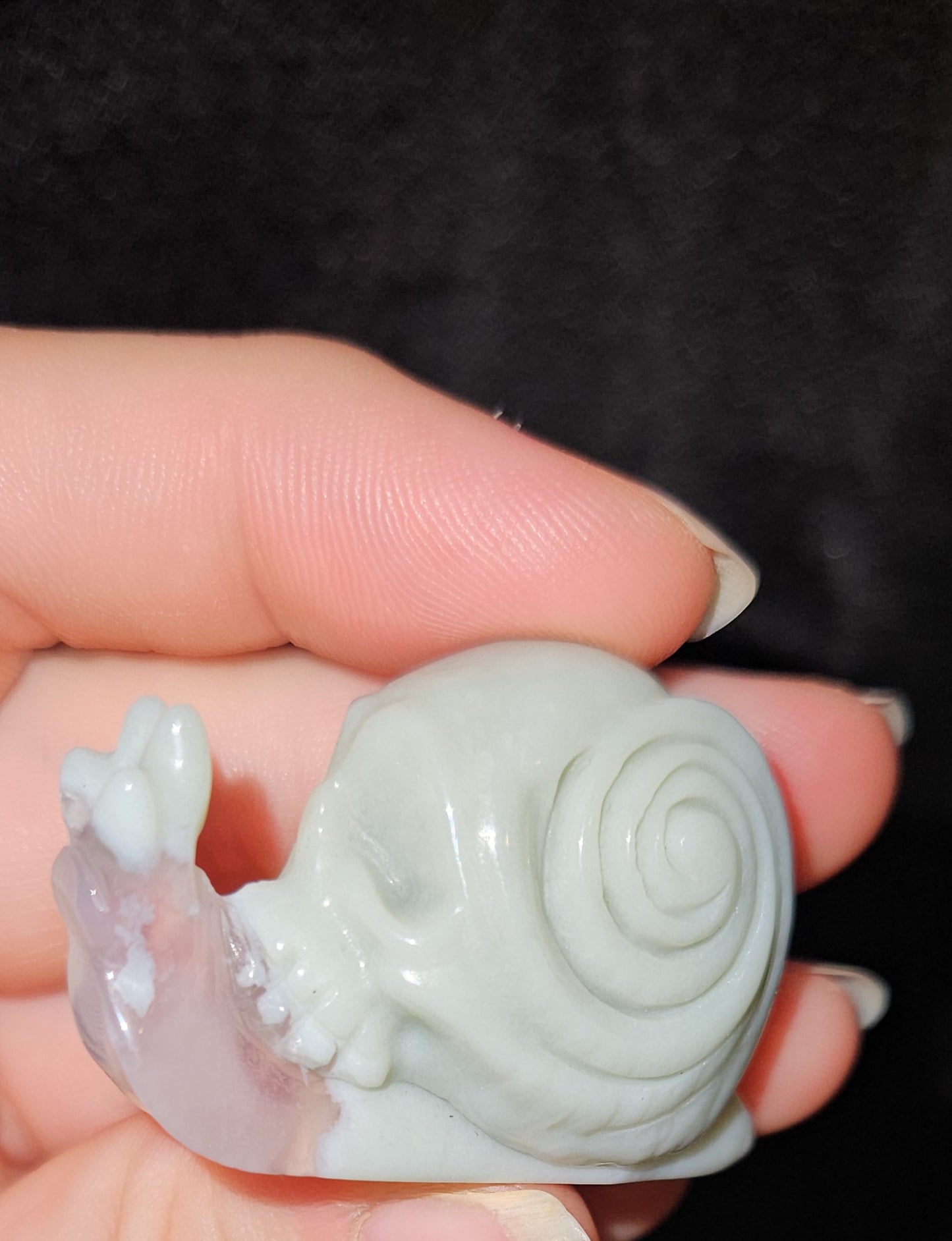 Flower Agate Skull Snail