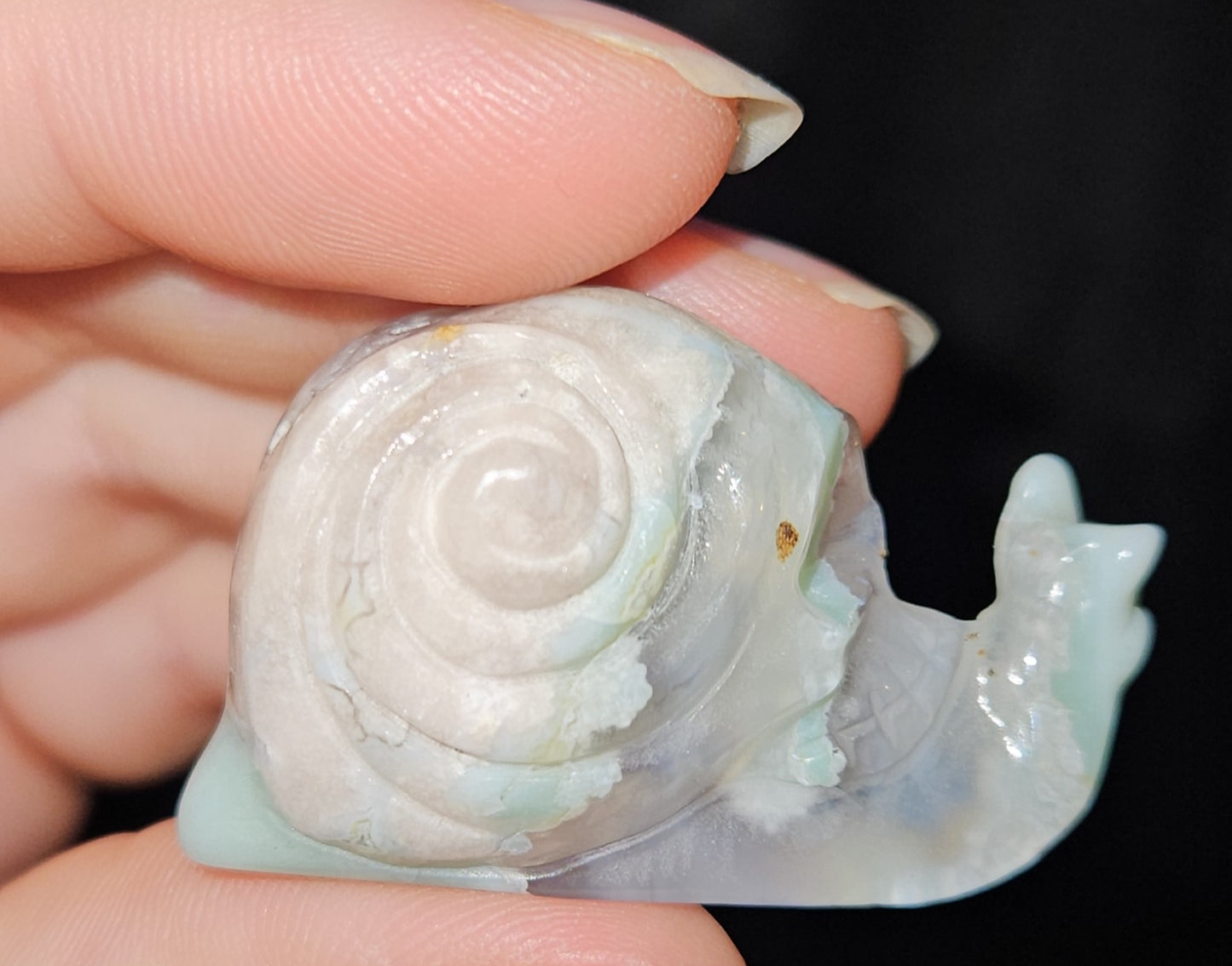 Flower Agate Skull Snail