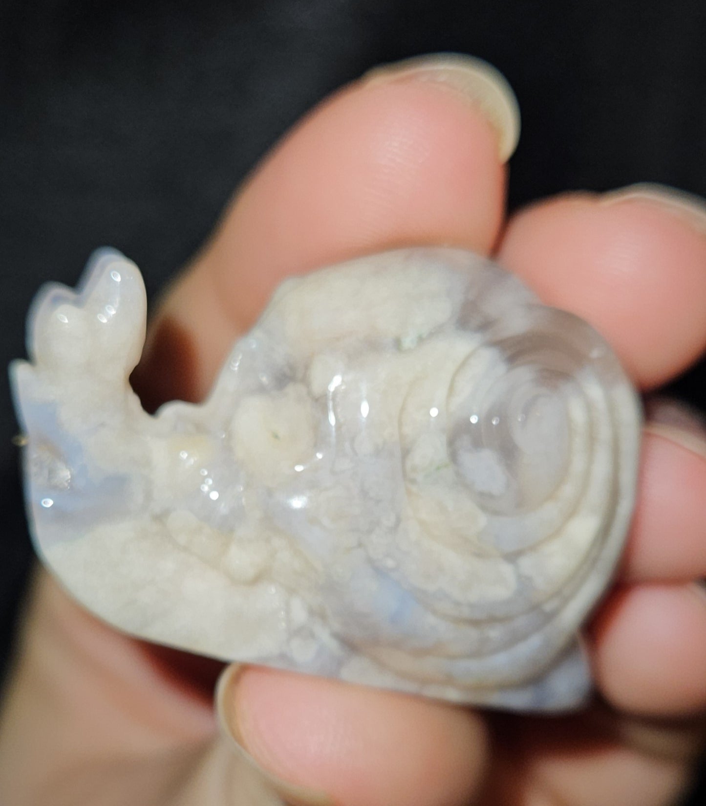 Flower Agate Skull Snail