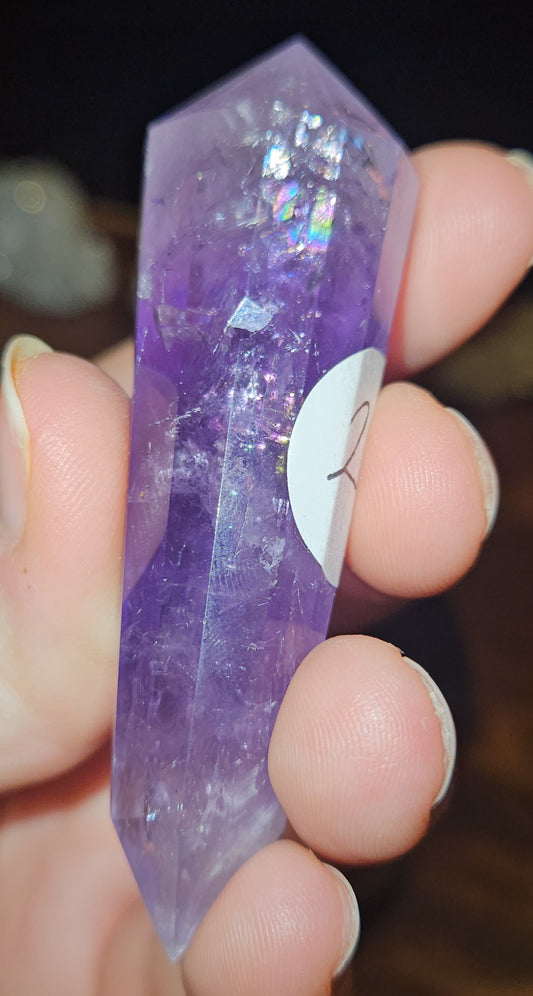 Brazilian Amethyst Vogel