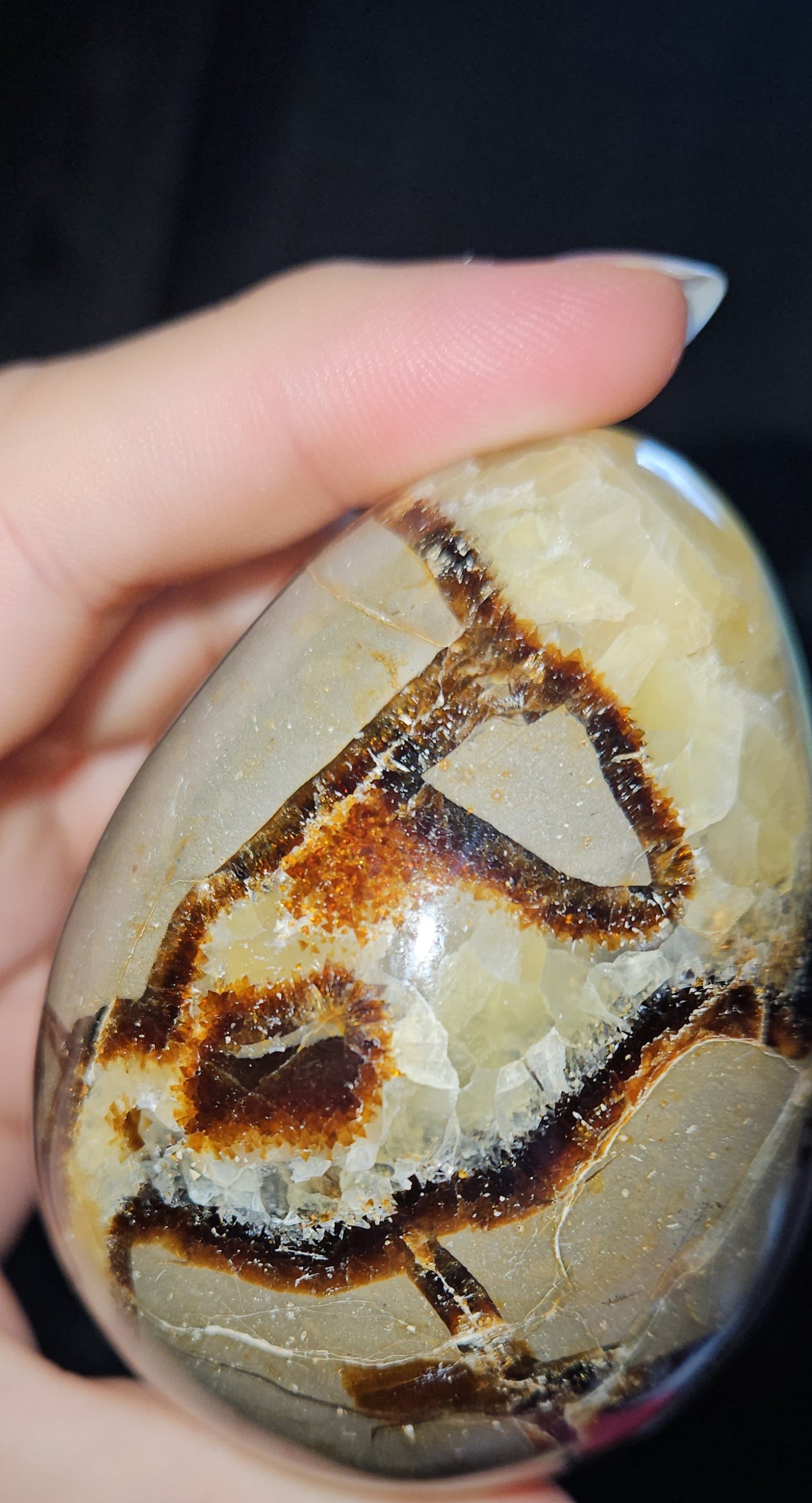Septarian Egg (Dragons Egg)