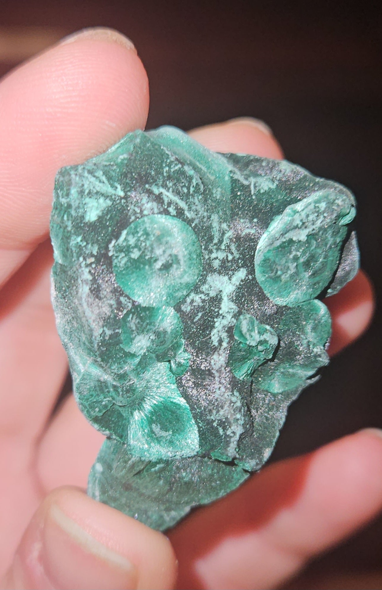 Velvet Malachite