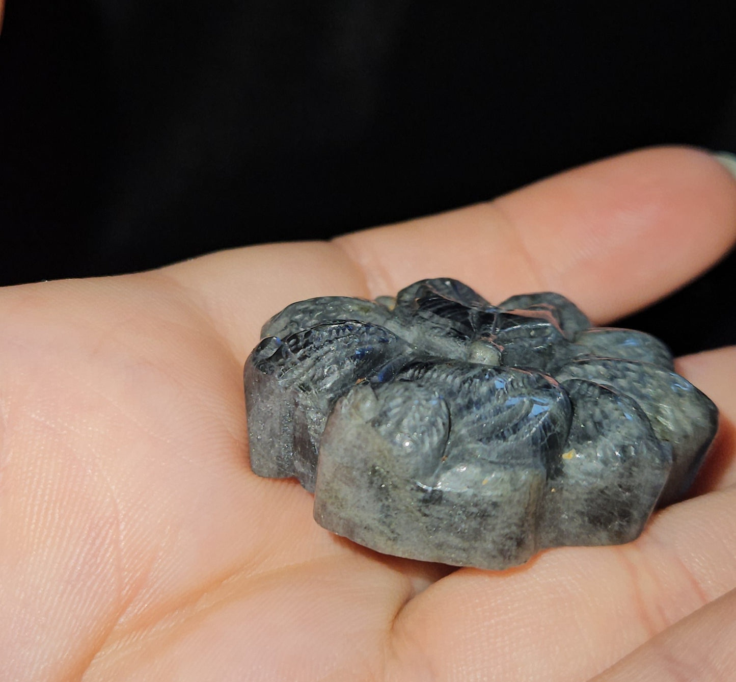 Labradorite Nine Tail Fox
