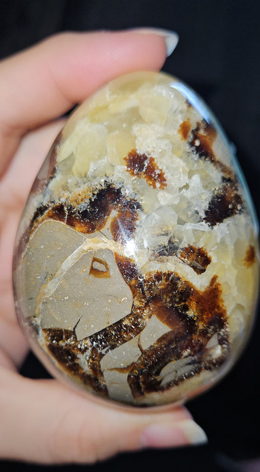 Septarian Egg (Dragons Egg)