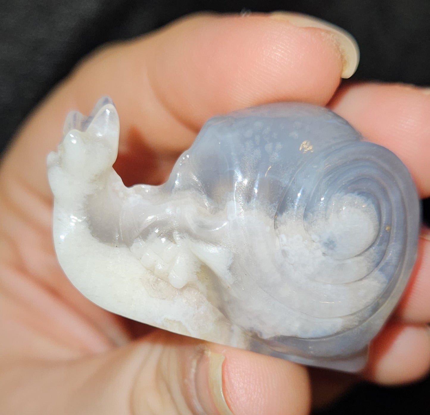 Flower Agate Skull Snail