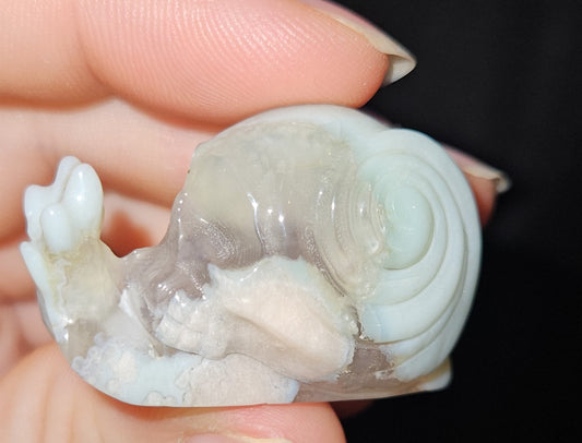 Flower Agate Skull Snail