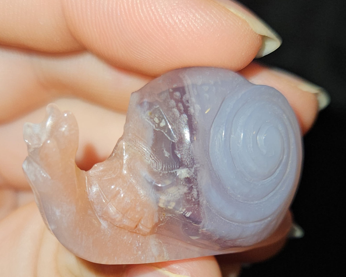 Flower Agate Skull Snail