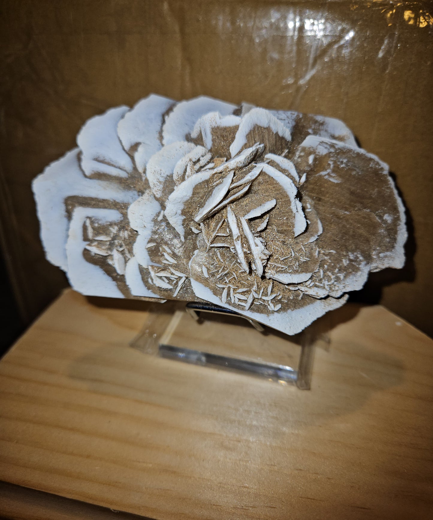 High Quality Desert Rose