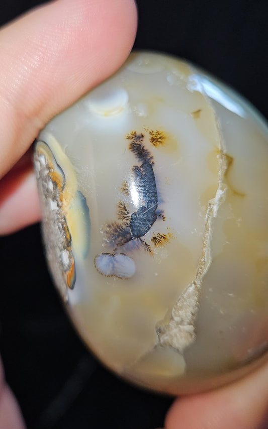 Dendritic Agate Egg Geode