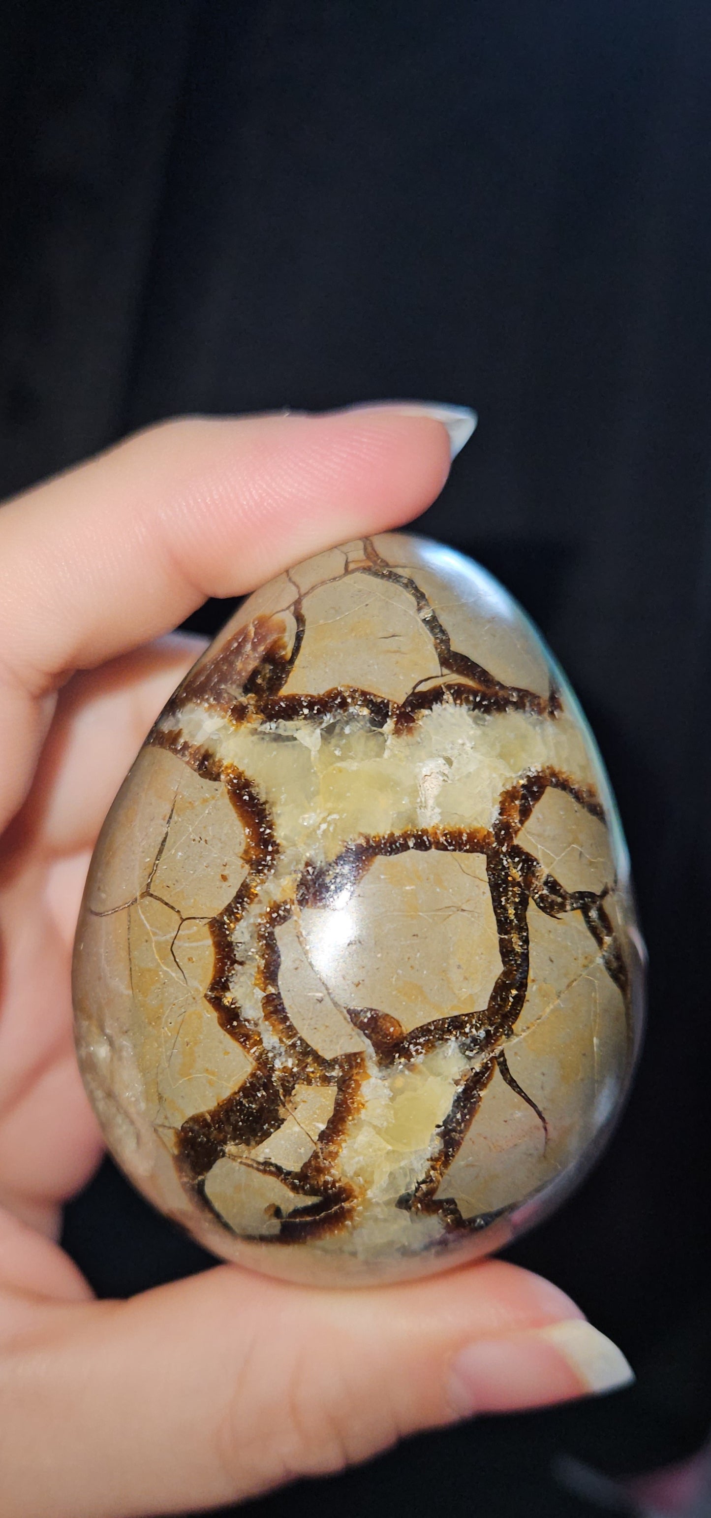 Septarian Egg (Dragons Egg)