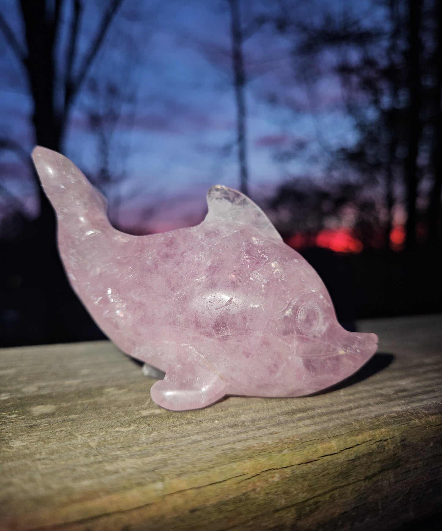 Fluorite Dolphin