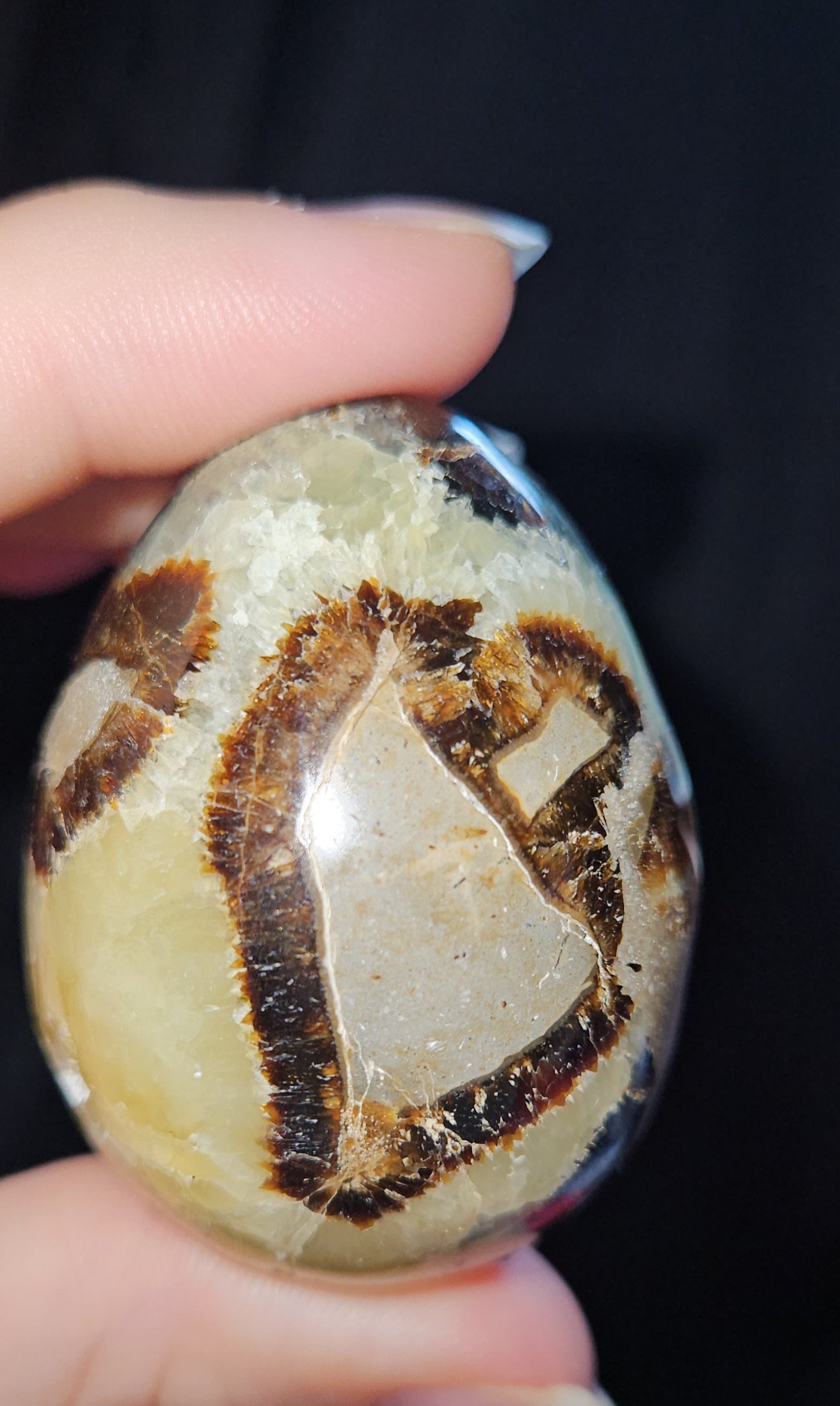 Septarian Egg (Dragons Egg)